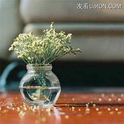 前进之路手游下载